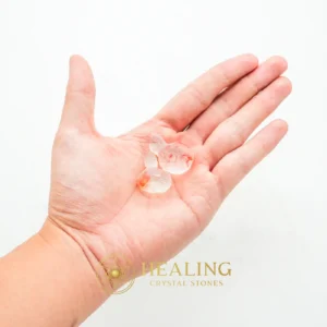 Squid Pearls - Type A4 - Healing Bezoar Stones, Bezoar Crystals, Bezoar Stones, Healing Crystals, Healing Stones, Spiritual Crystals, Rare, Ancient Relic, Mystical Relic, Authentic