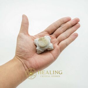 Tiger Forehead Pearls - Type B - Power Animal Stones, Healing Crystals, Talismanic Stones, Ritual Power Stones, Magical Stones, Ritual Crystals, Energy Stones, shaman, psychic, metaphysics