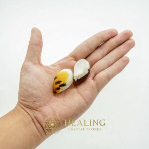 Tiger Pearls - Type F - Animal Totem Stones, Healing Crystals, Mustika Pearls, Healing Stones, Ritual Crystals, Energy Stones, Talisman Crystals, spiritual, occult, psychic