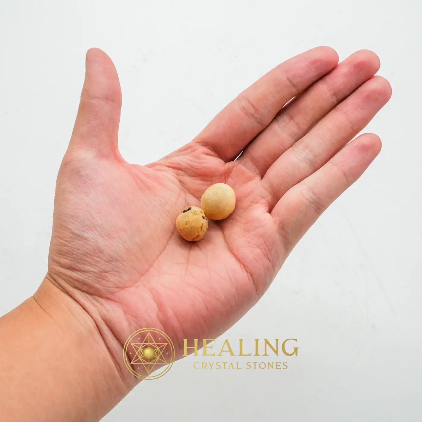 Turtle Dove Bird Pearls - Type A2 - Power Animal Stones, Animal Totem Stones, Guardian Crystal, Guardian Stone, Spirit Crystal, Spirit Stone, Nature Stone, Nature Crystal, Shaman, Shamanic