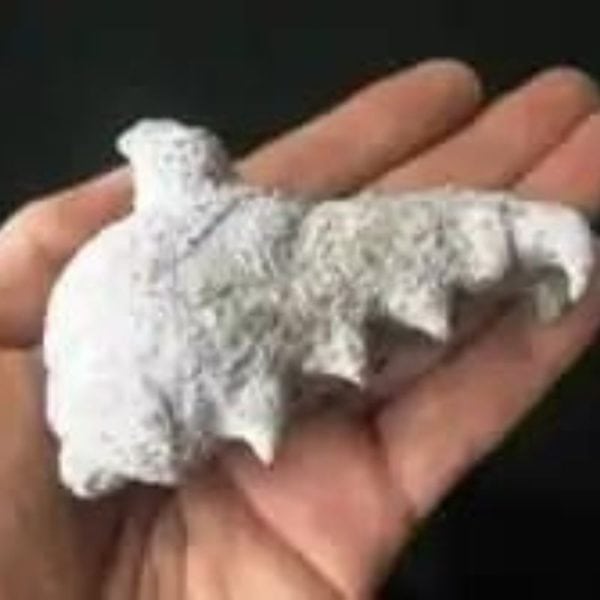 Dragon Head - Type FDH 5