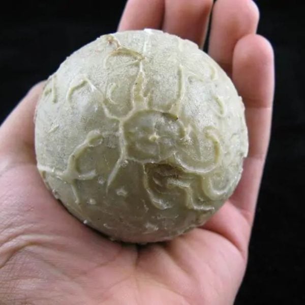 Earth Bumi Pearl Type B