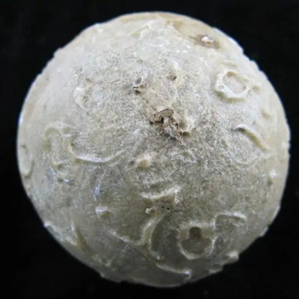 Earth Bumi Pearl Type B - Image 3