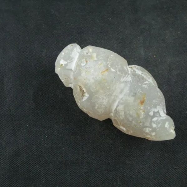 White Dragon Horn Fossil - Type B3 - Image 3