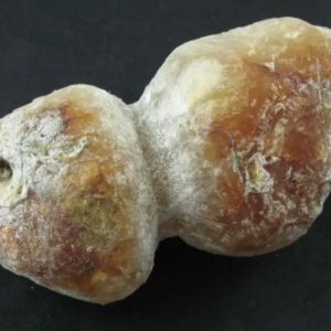 Astral / Etheric Creature