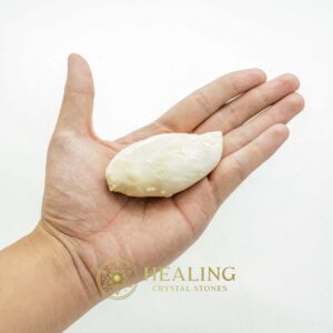 White Bull Pearl - Type B1 - Bezoar Crystals, Healing Crystals, Mustika Stones, Spiritual Crystals, Ritual Power Stones, Enchanted Stones, Talisman Crystals, shamanic, psychic, artifact