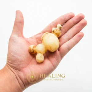 White God Monkey Pearl - Type C10 - Universal Energy, Animal Totem Stones, Spiritual, Artifact, Energetic, Cleansing, Antique, Life Force Stone, Guardian Amulet, Energy Shield Crystal