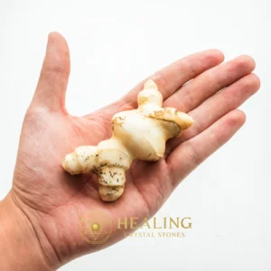 White God Monkey Pearl - Type C12 - Balance, Magickal Stones, Mysticism, Ritual Crystals, Chakra, Positive Energy, Exceptional, Life Energy Crystal, Ancient Relic, Energy Alignment Crystal