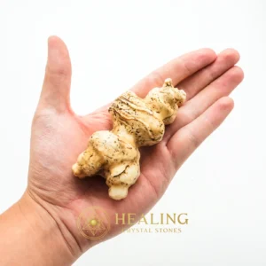 White God Monkey Pearl - Type C19 - Talisman Crystals, Spiritual, Enchanted, Inner Wisdom, Balance, Cleansing, Unique, Life Force Stone, Guardian Stone, Energy Shield Crystal