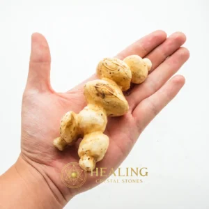 White God Monkey Pearl - Type C20 - Enchanted Stones, Metaphysics, Sacred, Aura, Energetic, Purification, Exceptional, Spirit Crystal, Mystical Relic, Negative Energy Protection