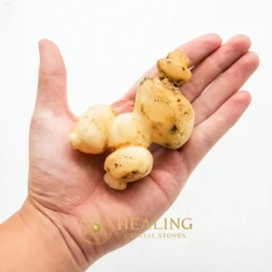 White God Monkey Pearl - Type C21 - Mystical, Spiritualism, Artifact, Enchanted, Inner Wisdom, Cleansing, Ornamental, Spirit Stone, Ancient Relic, Esoteric Artifact