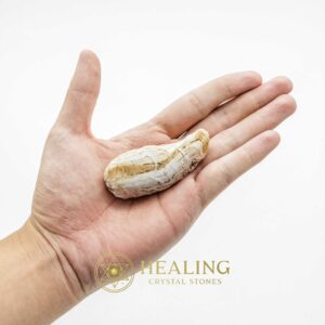 White Leech Fossil - A - Animal Totem Stones, Power Animal Stones, Healing Crystals, Ritual Power Stones, Energy Stones, Spiritual Crystals, Enchanted Stones, Shamanic, Magical, Artifact