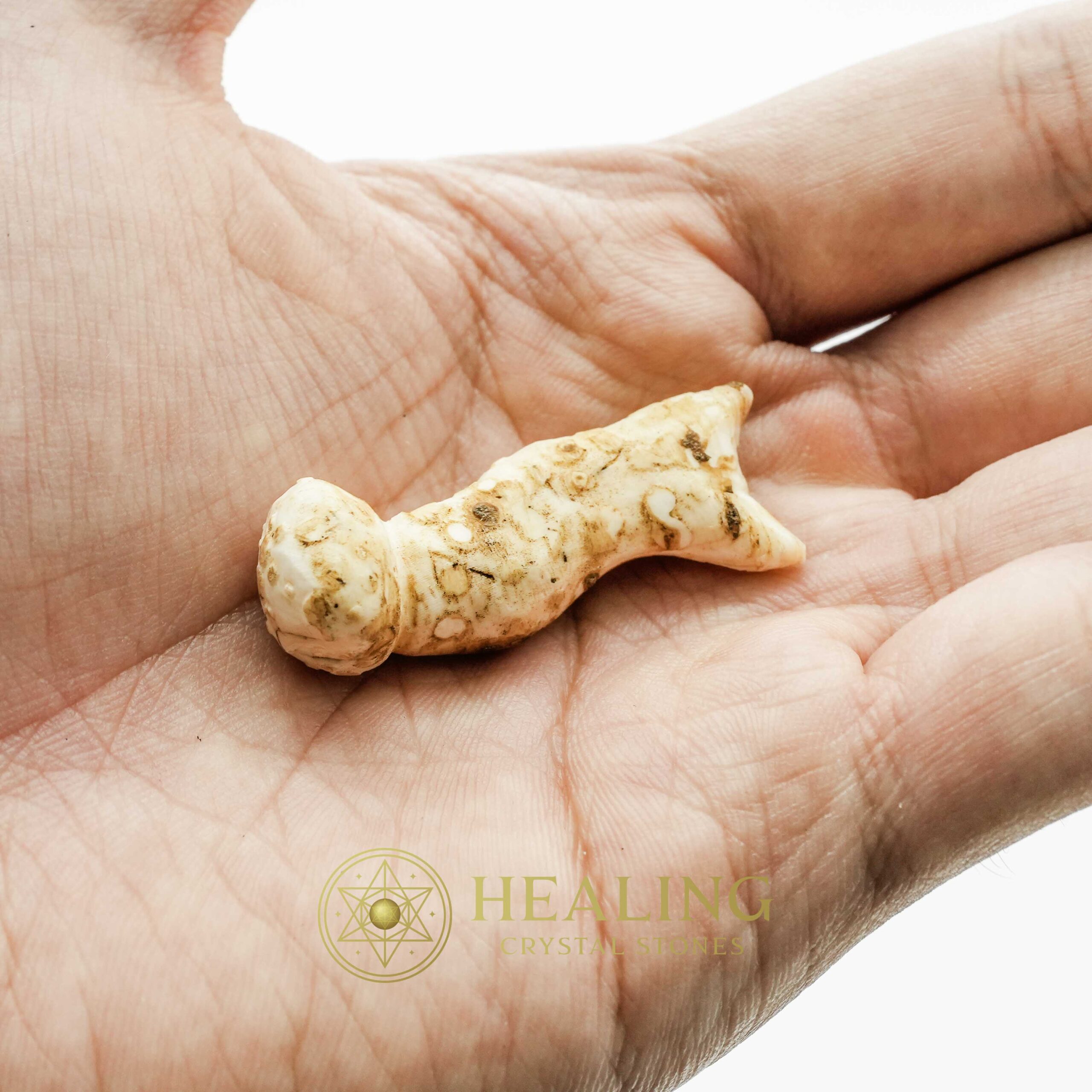 White Sanca Snake Horns - Type A5 - Crystal Stones, Talismanic Stones, Amulet Stones, Healing Stones, Bezoar Stones, Animal Totem Stones, Magickal Stones, psychic, spiritualism, mystical
