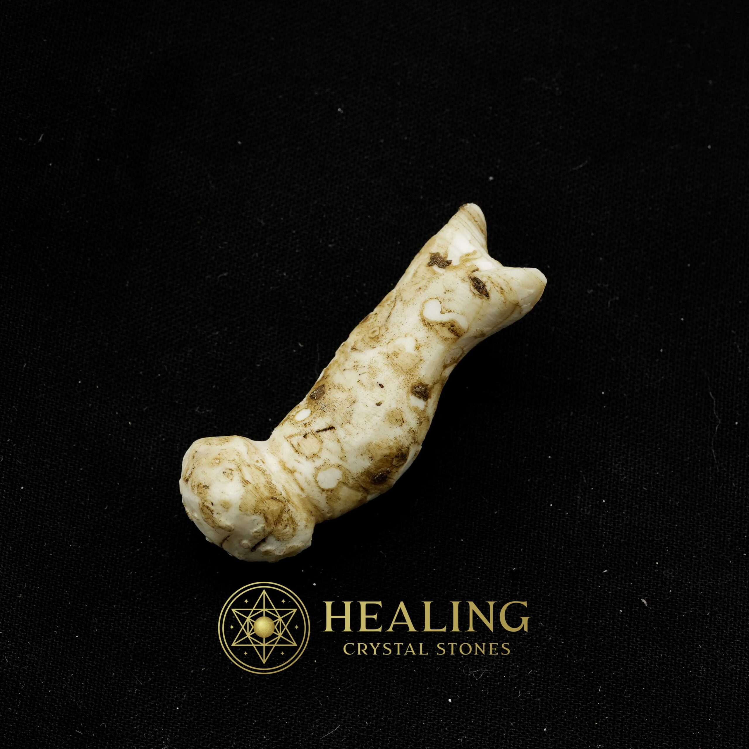 White Sanca Snake Horns - Type A5 - Crystal Stones, Talismanic Stones, Amulet Stones, Healing Stones, Bezoar Stones, Animal Totem Stones, Magickal Stones, psychic, spiritualism, mystical