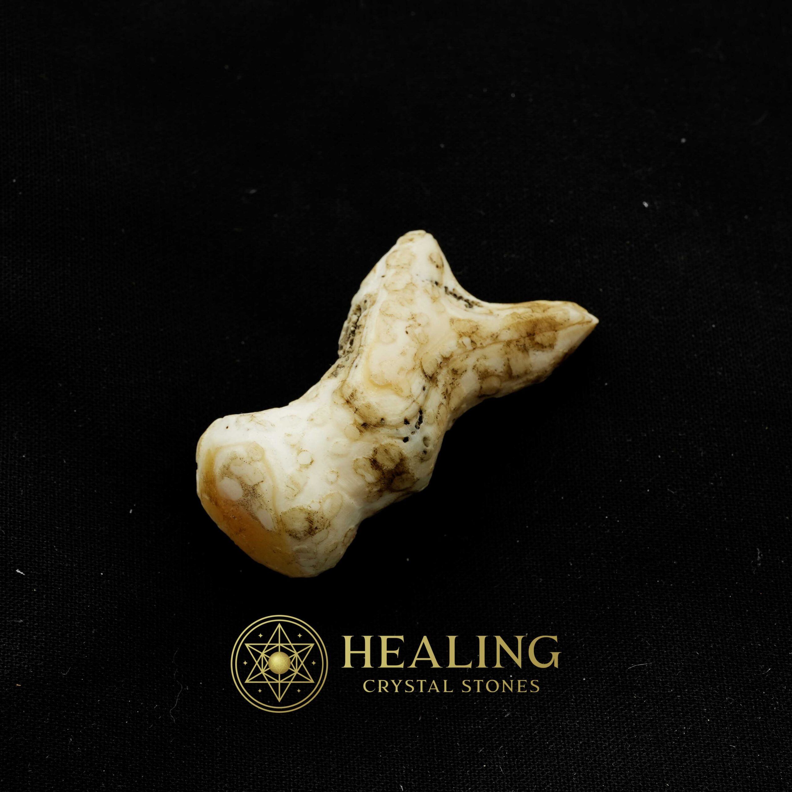 White Sanca Snake Horns - Type A7 - Talismans Stones, Talisman Crystals, Amulet stones, Healing Crystals, Mustika Pearls, Mustika Stones, Spiritual Crystals, metaphysics, mystical, psychic