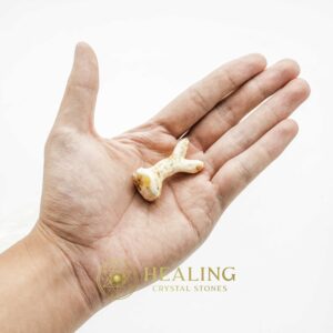 White Sanca Snake Horns - Type B1 - Talisman Crystals, Amulet stones, Healing Crystals, Crystal Stones, Mustika Pearls, Spiritual Crystals, Bezoar Stones, metaphysics, psychic, mystical