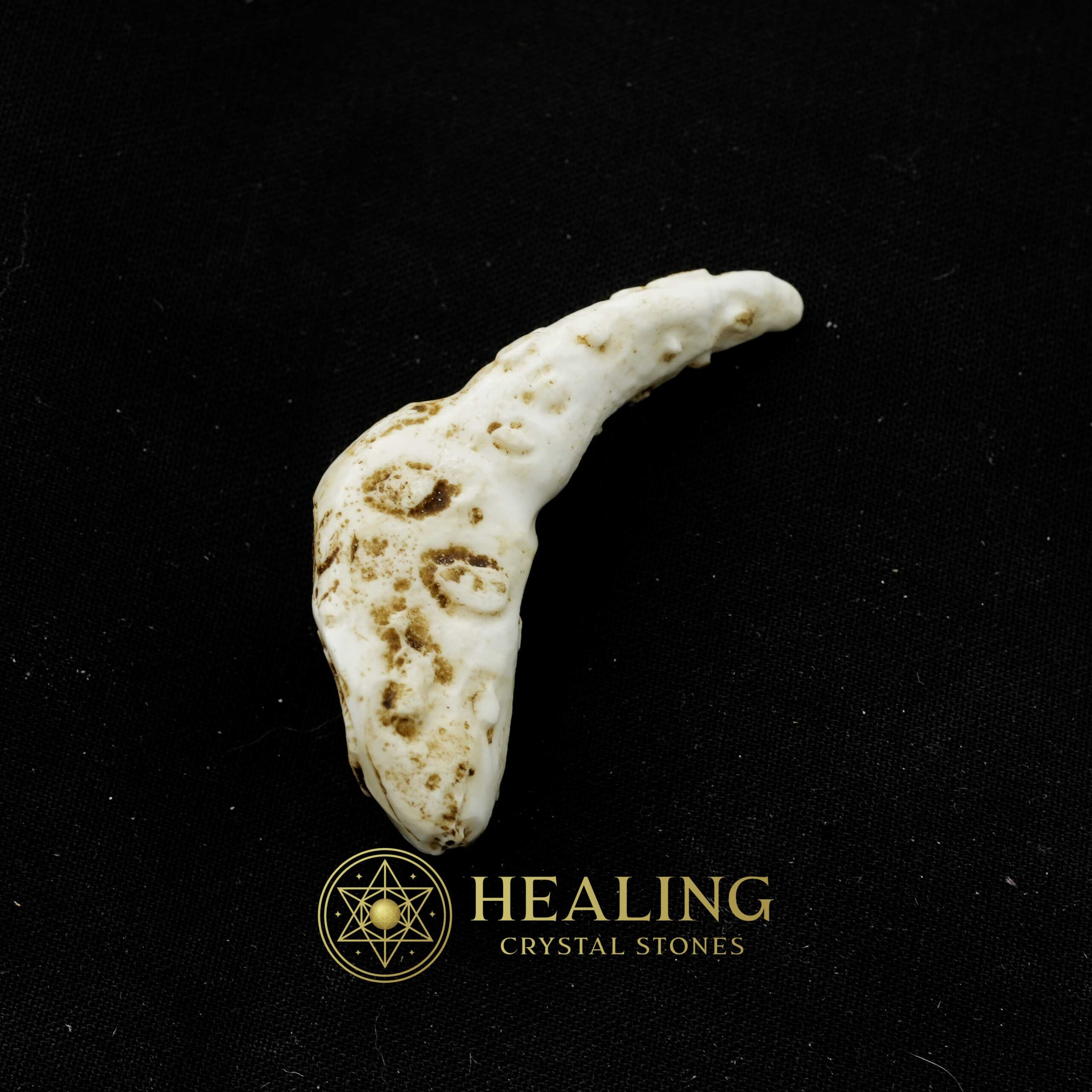White Sanca Snake Horns - Type B4 - Talismans Stones, Talisman Crystals, Healing Crystals, Crystal Stones, Mustika Pearls, Mustika Stones, Talismanic Stones, metaphysics, shamanic, occult