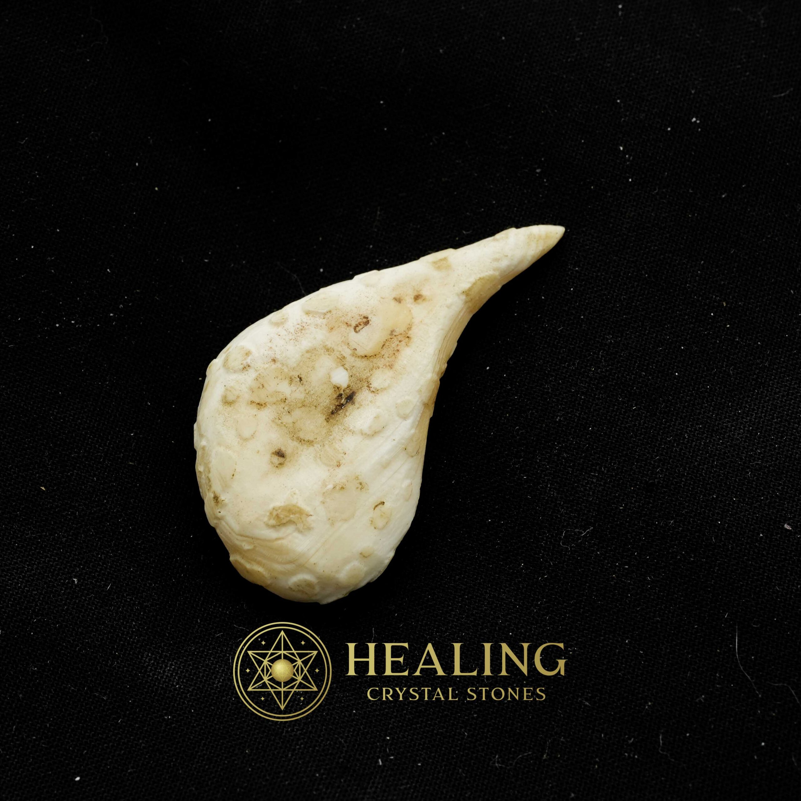 White Sanca Snake Horns - Type B5 - Spiritual Crystals, Bezoar Stones, Bezoar Crystals, Healing Bezoar Stones, Animal Totem Stones, Magical Stones, Ritual Crystals, mystical, spiritual, psychic