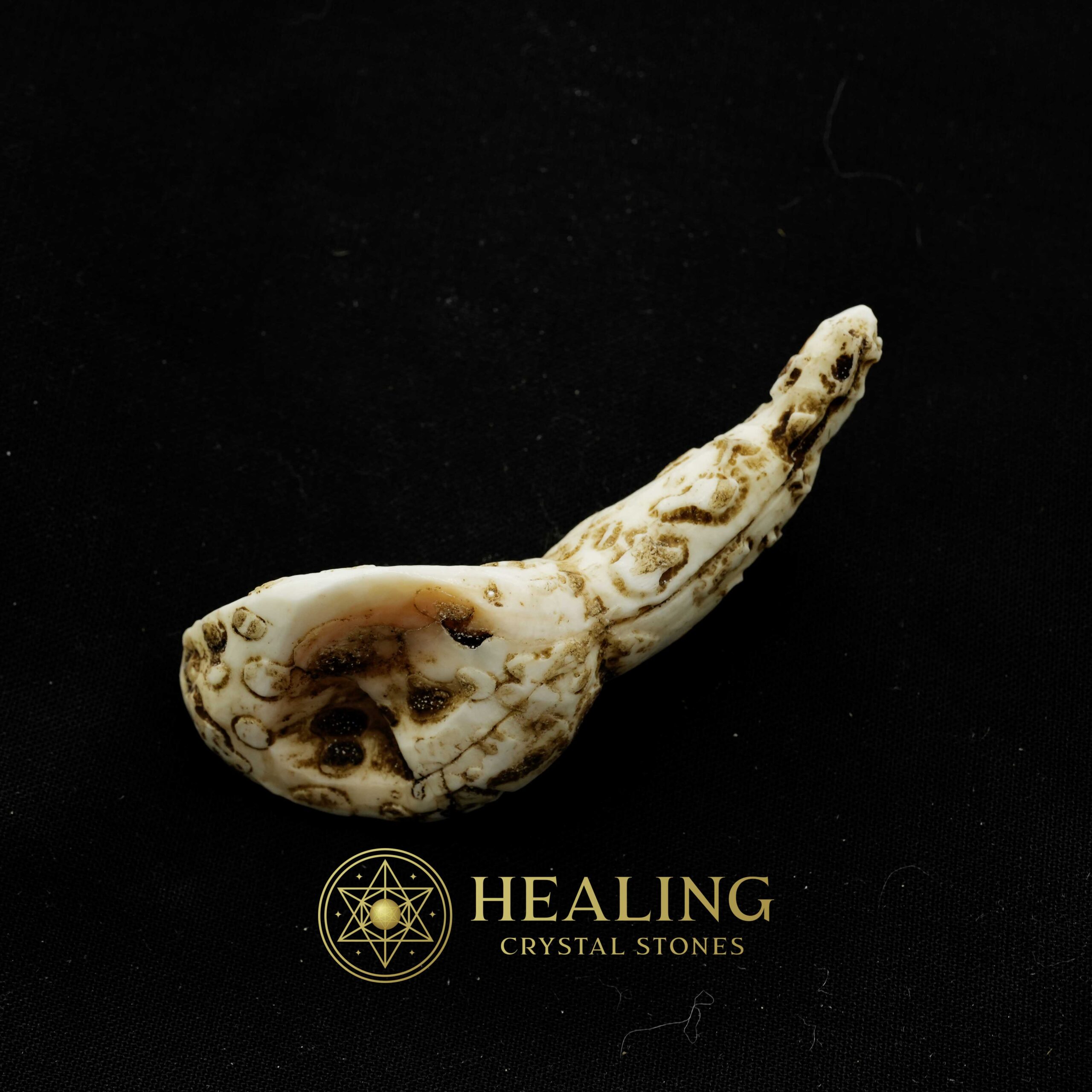 White Sanca Snake Horns - Type C3 - Talismans Stones, Talisman Crystals, Amulet stones, Healing Crystals, Mustika Pearls, Mustika Stones, Spiritual Crystals, metaphysics, psychic, mystical