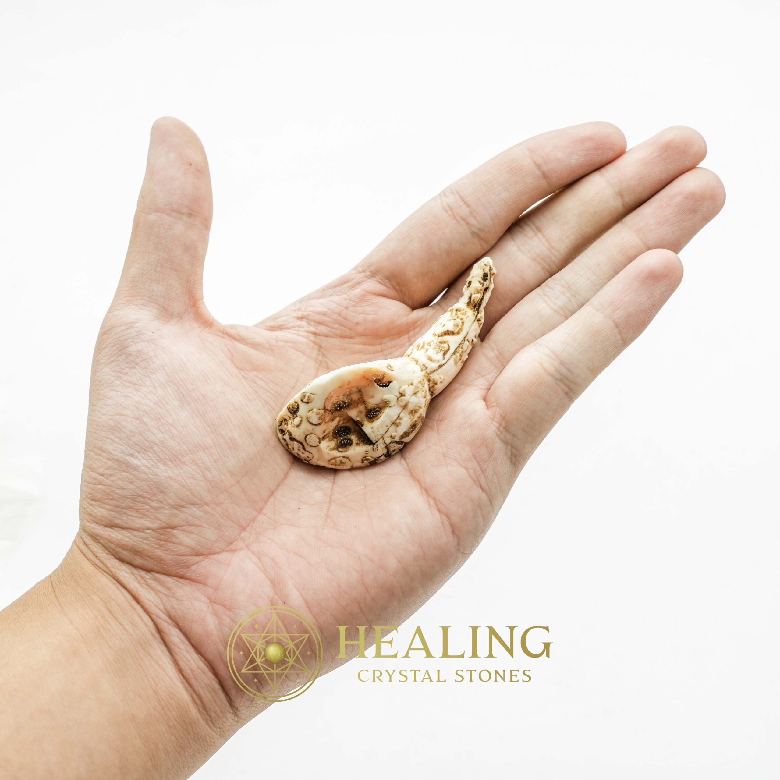 White Sanca Snake Horns - Type C3 - Talismans Stones, Talisman Crystals, Amulet stones, Healing Crystals, Mustika Pearls, Mustika Stones, Spiritual Crystals, metaphysics, psychic, mystical