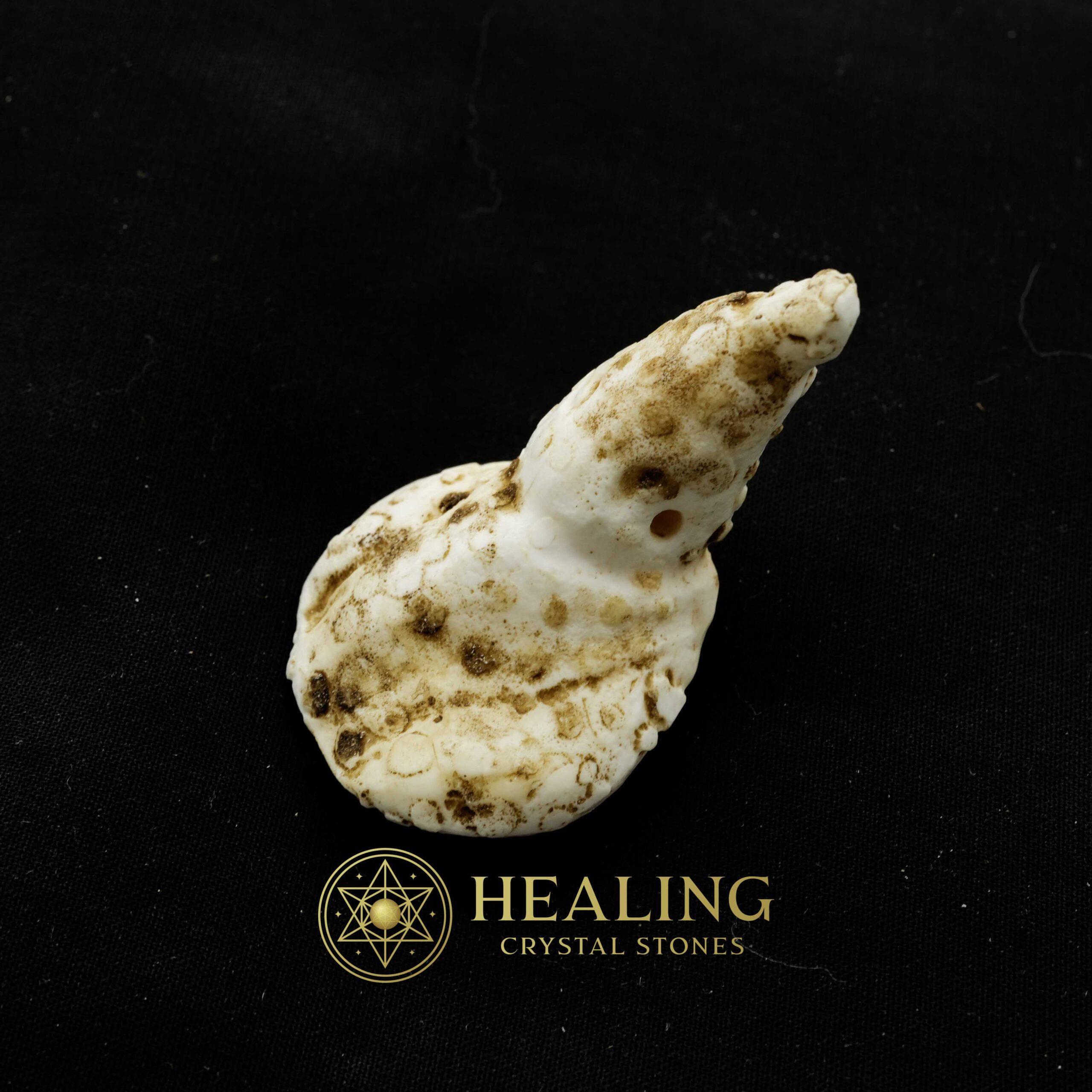 White Sanca Snake Horns - Type C9 - Crystal Stones, Mustika Pearls, Mustika Stones, Talismanic Stones, Amulet Stones, Healing Stones, Spiritual Crystals, shaman, psychic, mystical