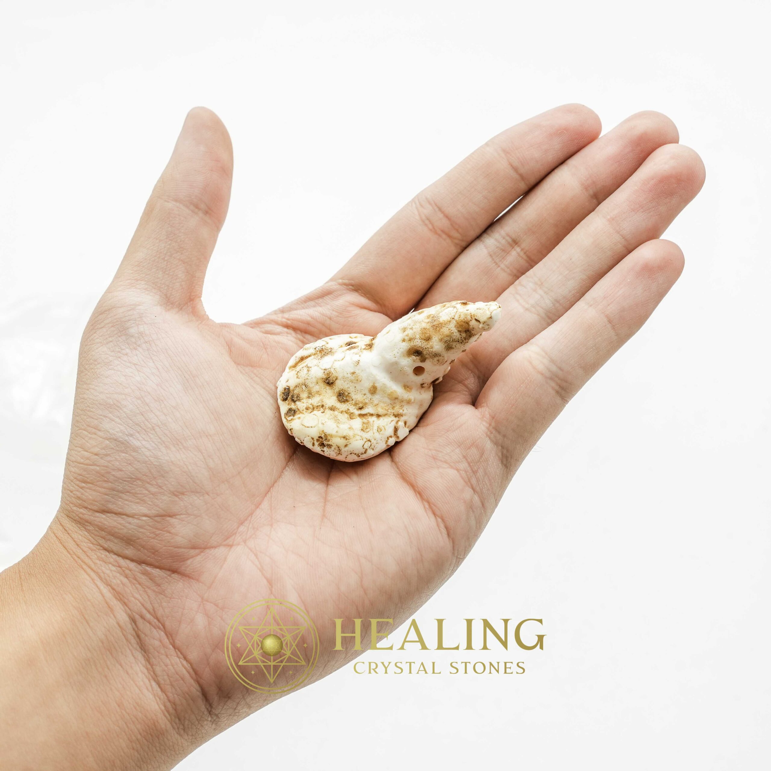 White Sanca Snake Horns - Type C9 - Crystal Stones, Mustika Pearls, Mustika Stones, Talismanic Stones, Amulet Stones, Healing Stones, Spiritual Crystals, shaman, psychic, mystical