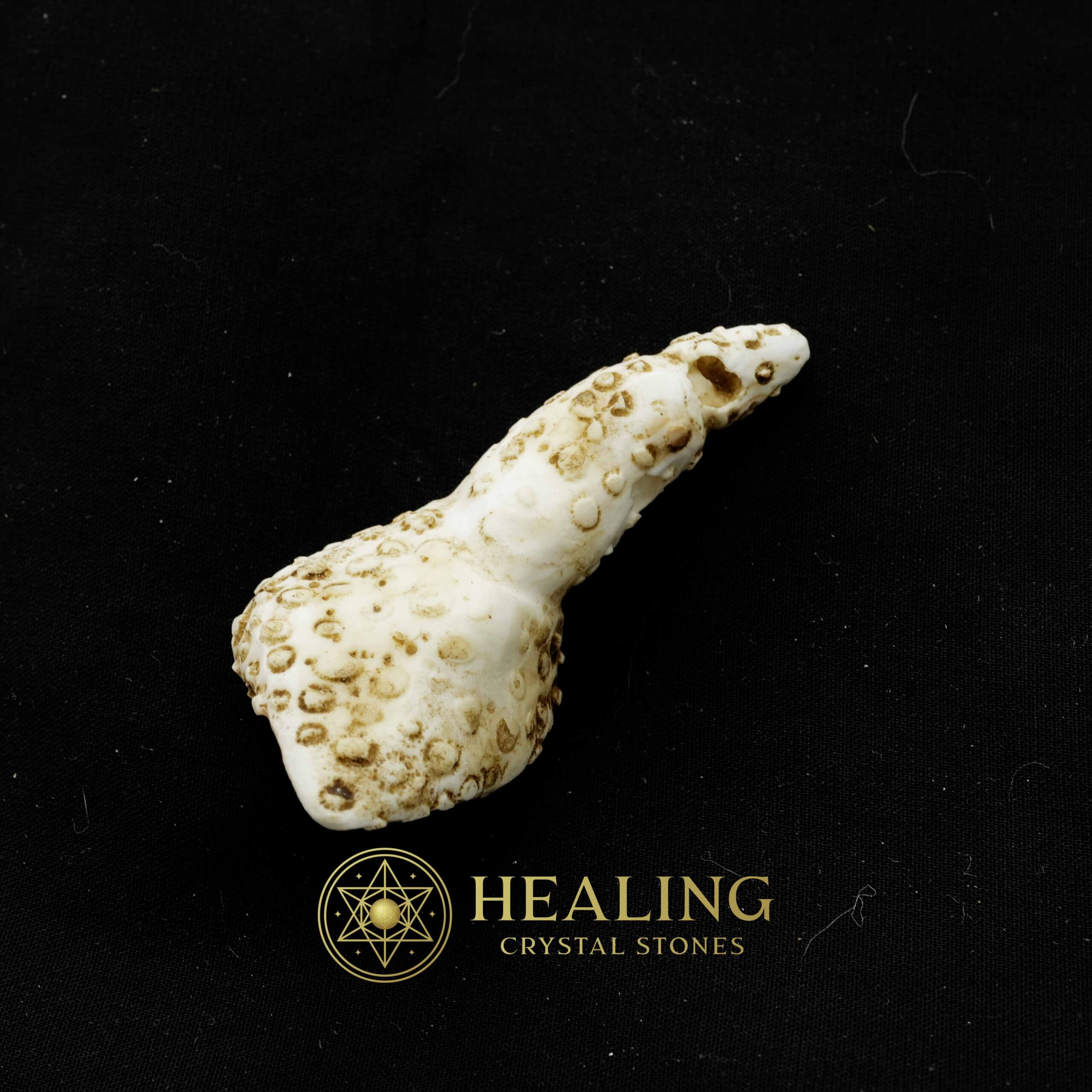 White Sanca Snake Horns - Type D2 - Healing Crystals, Crystal Stones, Mustika Pearls, Mustika Stones, Spiritual Crystals, Bezoar Stones, Bezoar Crystals, shamanic, occult, metaphysics