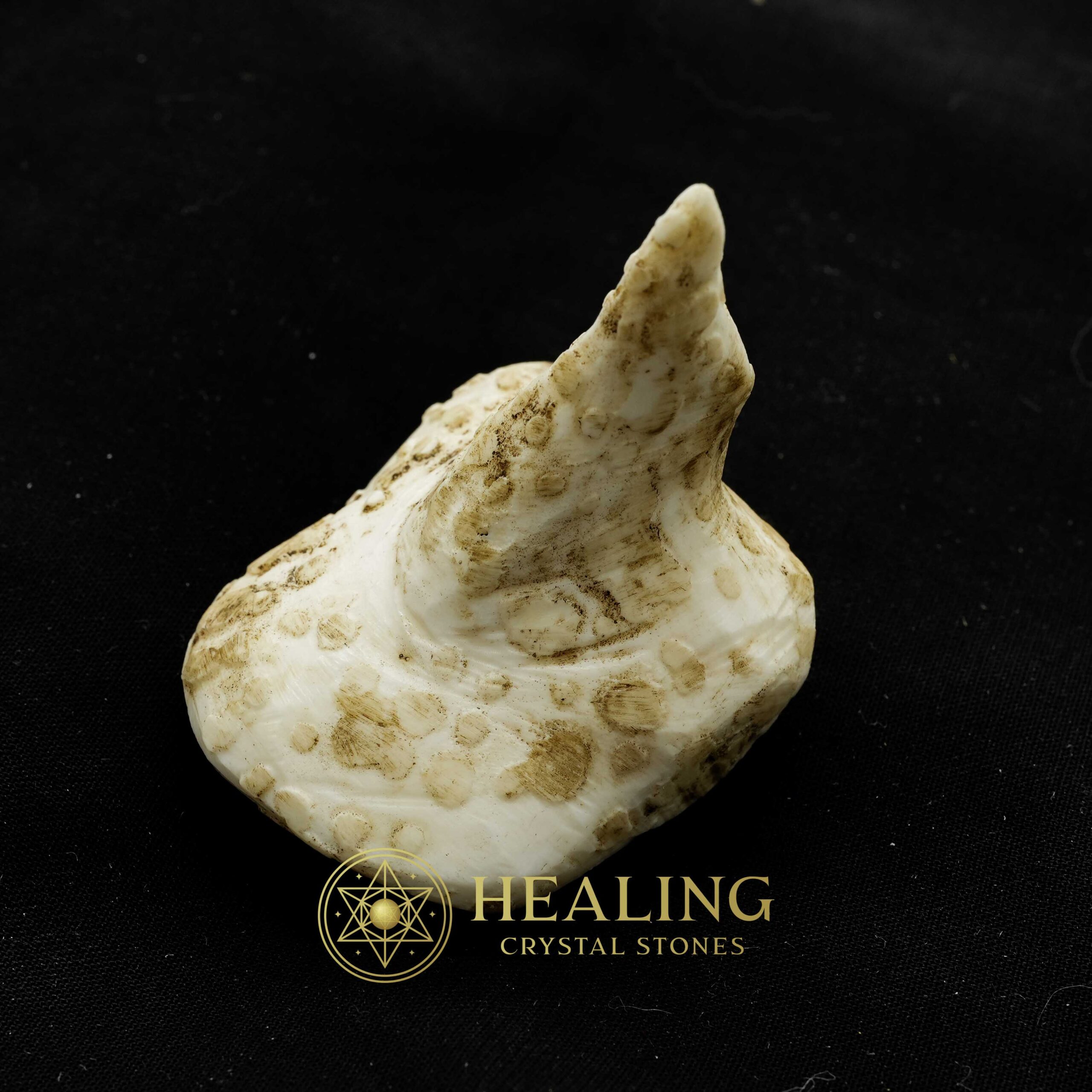 White Sanca Snake Horns - Type D5 - Mustika Stones, Talismanic Stones, Amulet Stones, Healing Stones, Spiritual Crystals, Bezoar Stones, Magical Stones, metaphysics, psychic, mystical