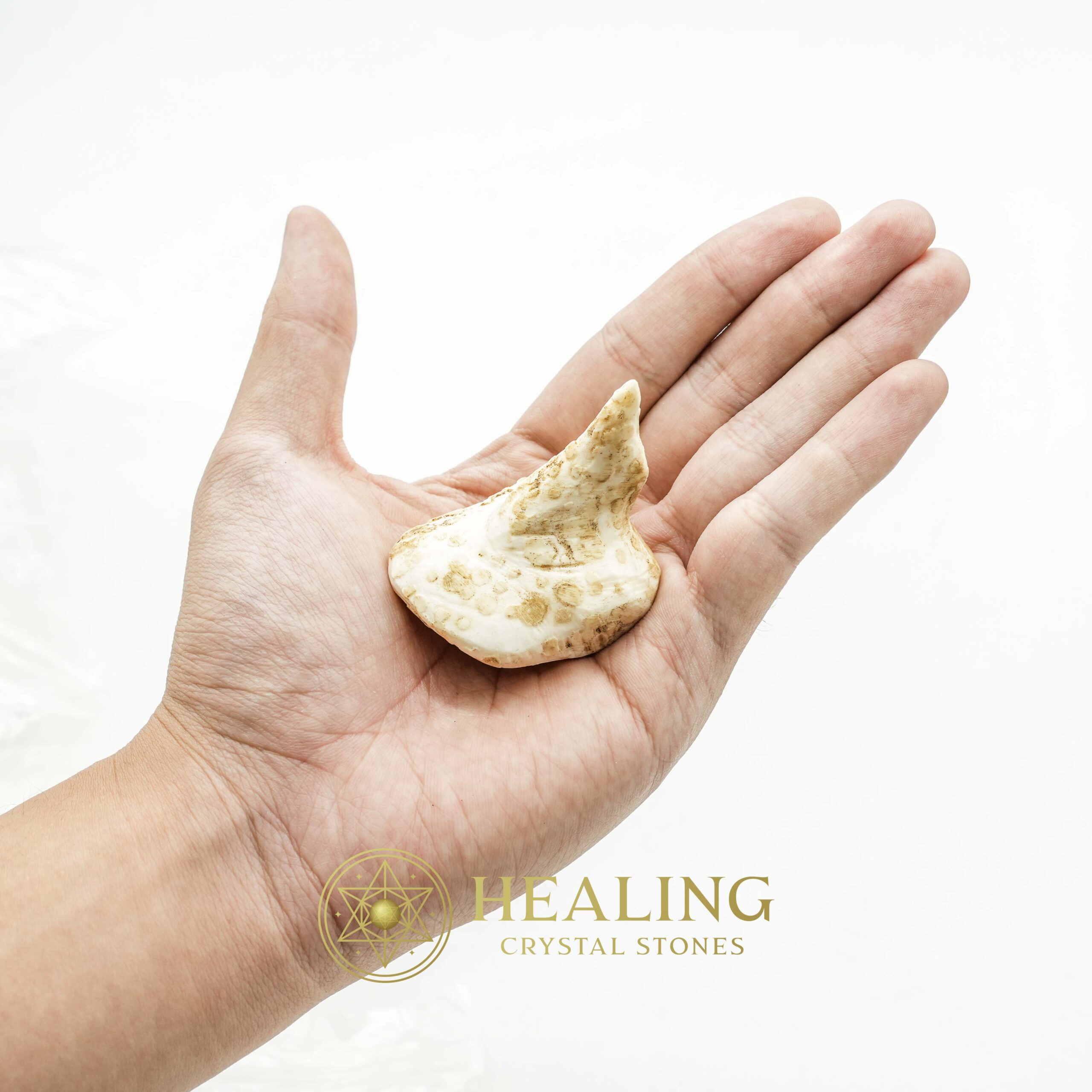 White Sanca Snake Horns - Type D5 - Mustika Stones, Talismanic Stones, Amulet Stones, Healing Stones, Spiritual Crystals, Bezoar Stones, Magical Stones, metaphysics, psychic, mystical