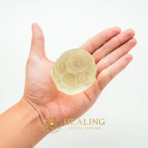 White Sea Dragon Ball - Type H4 - Animal Totem Stones, Power Animal Stones, Healing Crystals, Sacred Stones, Ritual Power Stones, Enchanted Stones, Energy Stones, occult, artifact, shaman