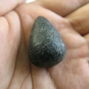 Fossilized hearts