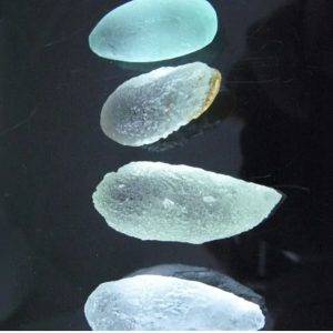 Raindrop Water Pearls