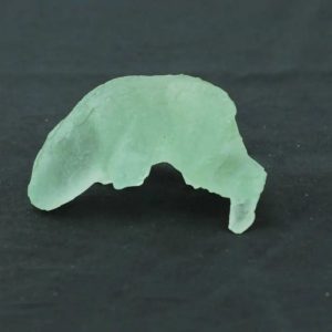 Fossilized Lizard Stones