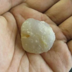 White Otter Pearls