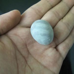 Goat Pearls