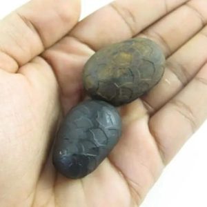 Sanca Madu Oval Pearls