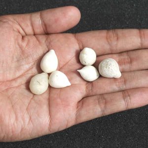 Flower/Plant Pearls