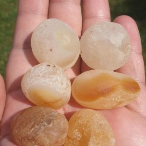 Mongoose Pearls