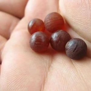 Merah Delima Pearls