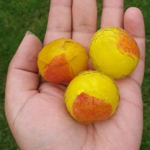 Wijoyo Mulyo Flower Pearls