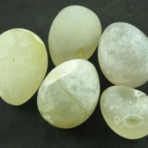 Tompel Fish Pearls