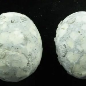 Quail Bird Pearls
