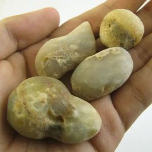 Peacock Pearls