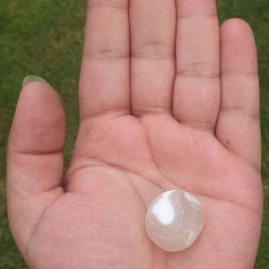 Duck Pearls