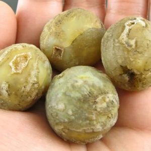 Naga Siluman Pearls