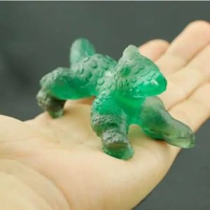 Crocodile Siluman Fossil