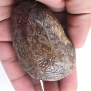 Earth Dragon Ovals