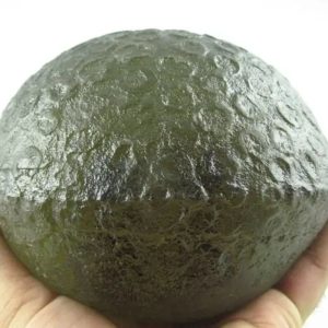 Water Dragon Oval/Eggs