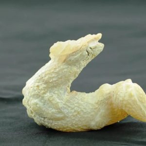 Javanese Dragons