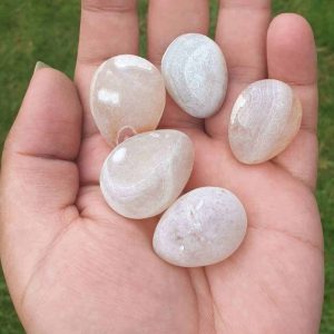 Cockatoo Bird Pearls